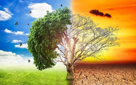 Global warming is causing extreme weather conditions