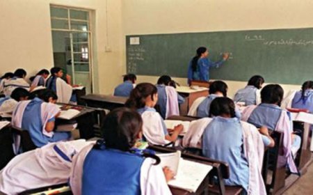 What standards should school implement?