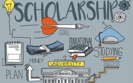 The Availability of Scholarships in 2020