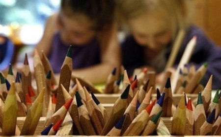 Universal Education and its Importance in Pakistan