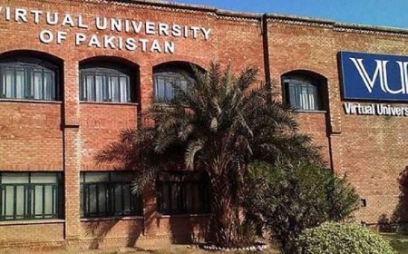 Virtual University Education Overview