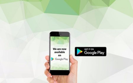 How to apply for jobs in Punjab Job Portal