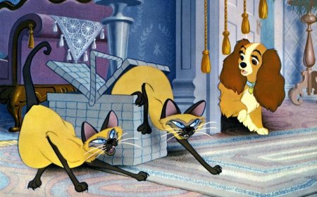 Disney updates warnings about racism content in classic films