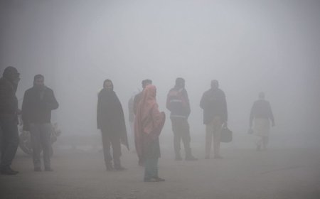 Does smog have any effects on our health?