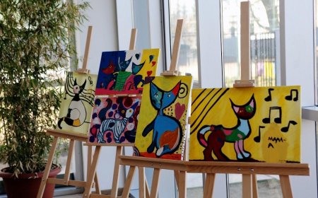Should students take up fine arts as a subject in their O/A levels?