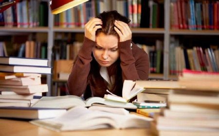 Do students face a lot of pressure in educational institutions?