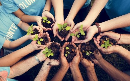 Should students participate in community service?