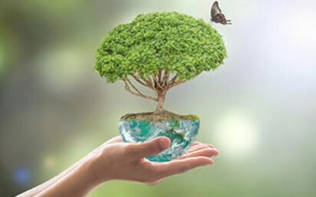 How to protect our environment