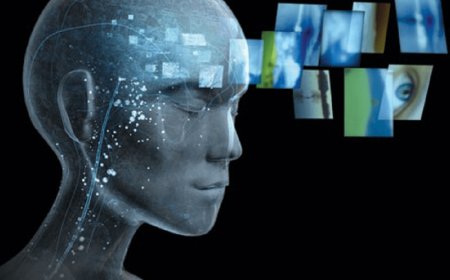 The Importance of Individual Differences