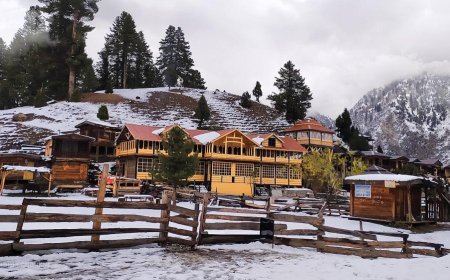 Fairy Meadows A land of beauty