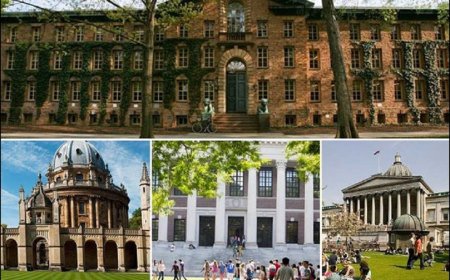 Best universities in the World