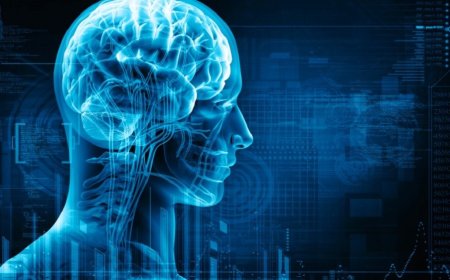 Activate the senses - and keep the brain in shape