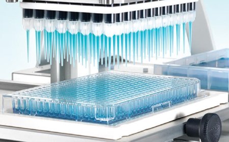 What is high throughput screening?