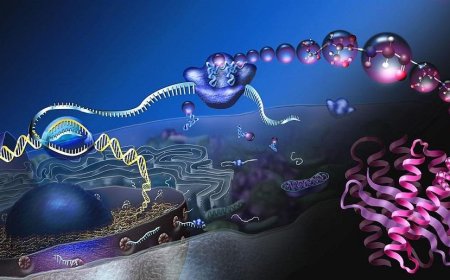 AI System Now Discovers Blueprints for Artificial Proteins