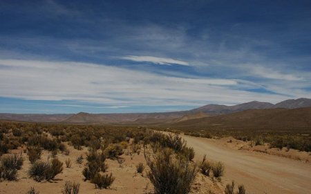 Drylands are Surprisingly not Getting Drier