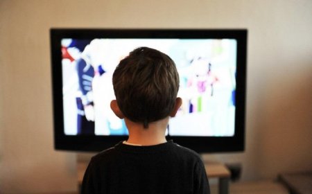 The impact of television on children: pros and cons
