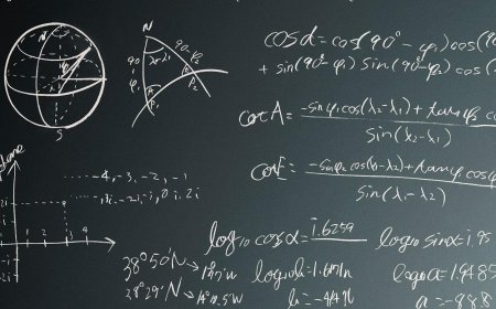 What are the branches of physics?