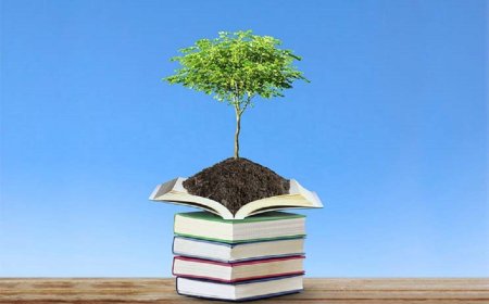 Alternative education - do you know what it is and is it worth using?