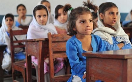 Sindh employ 37,000 primary school teachers for 3 years