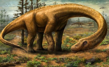 Fossils of most oldest titanosaur found in Argentina