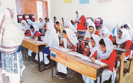 School tired? Here are the tips for you!