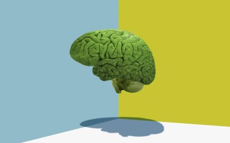 What is Brain Fog and why can it have serious consequences for our health?