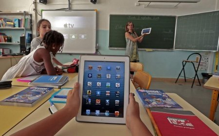 Developing a school development strategy: advice from the principal