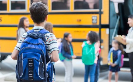 Adaptation of a child in a new school - how to help him?