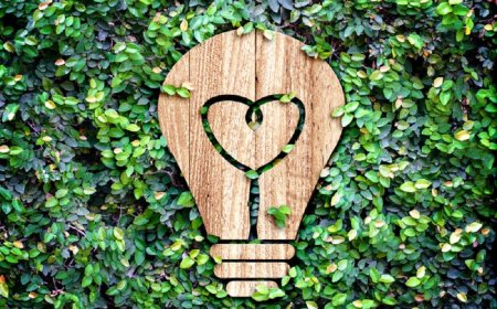 4 school habits that are harmful to the environment