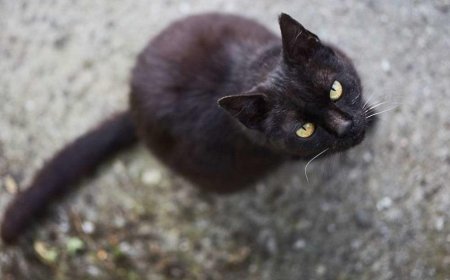 how do superstitions affect our lives