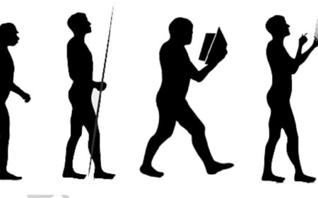 4 basic points about the evolution of teaching in the last century