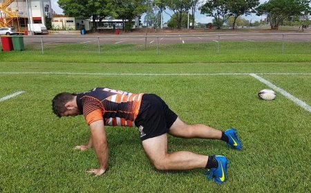 Bear gait: what are its benefits?