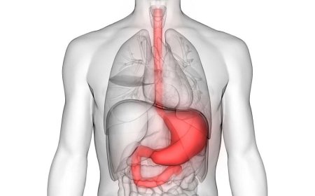 How to improve the functioning of the digestive system