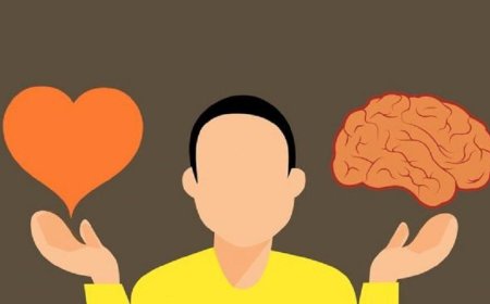 Reason and emotions: balance and good decisions