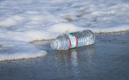 China invents eco-friendly plastic