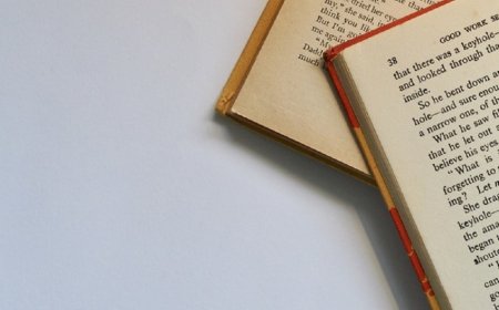 Fiction or non-fiction which one we should prefer