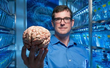 The neurobiologist named 6 exercises that will help increase psychological resilience