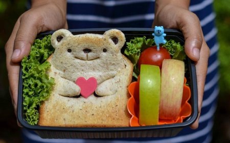 What and what not to put in the children's lunch box?