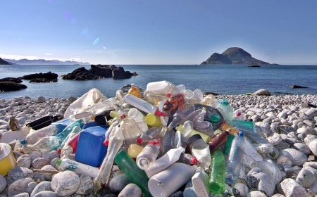 A world without plastic - why we should limit its use