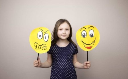 Socio-emotional skills: what is it?