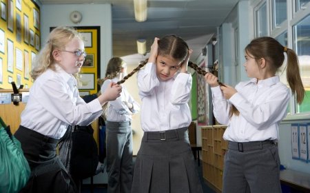 The role of a parent in a school conflict, or how to help solve it without harming either party