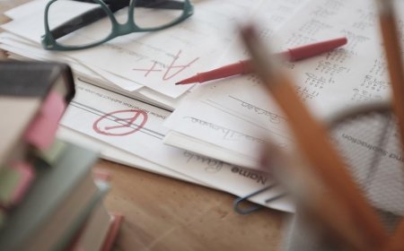 School charter - what is it and what does it contain?