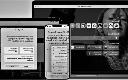 Leaky Safari in Apple hardware. Be careful because your Google Account may end up online!