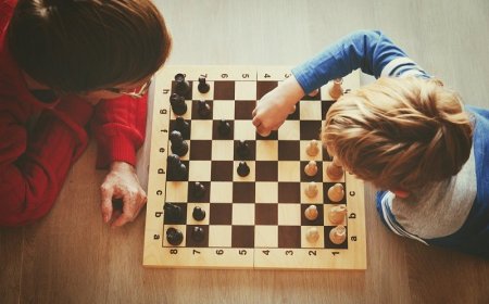The growing popularity of chess in the educational environment of children and young people