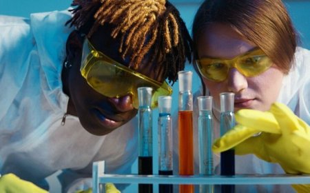 Study Biology