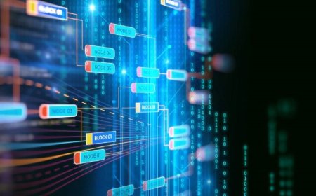 How long does it take to become a blockchain programmer?