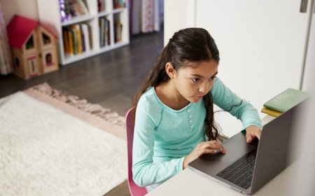 Tips and Challenges of Online Education
