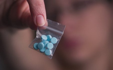 Establishment of regular authority for drug prevention in educational institutions, recommendations prepared