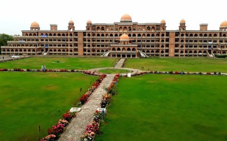 Psychological test will be taken for new security guards: Peshawar University Vice Chancellor