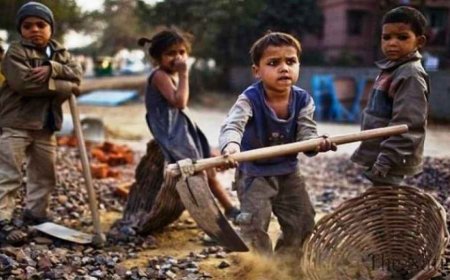 The Ministry of Planning and Development in Pakistan is taking action to address the crisis of children who are out of school.